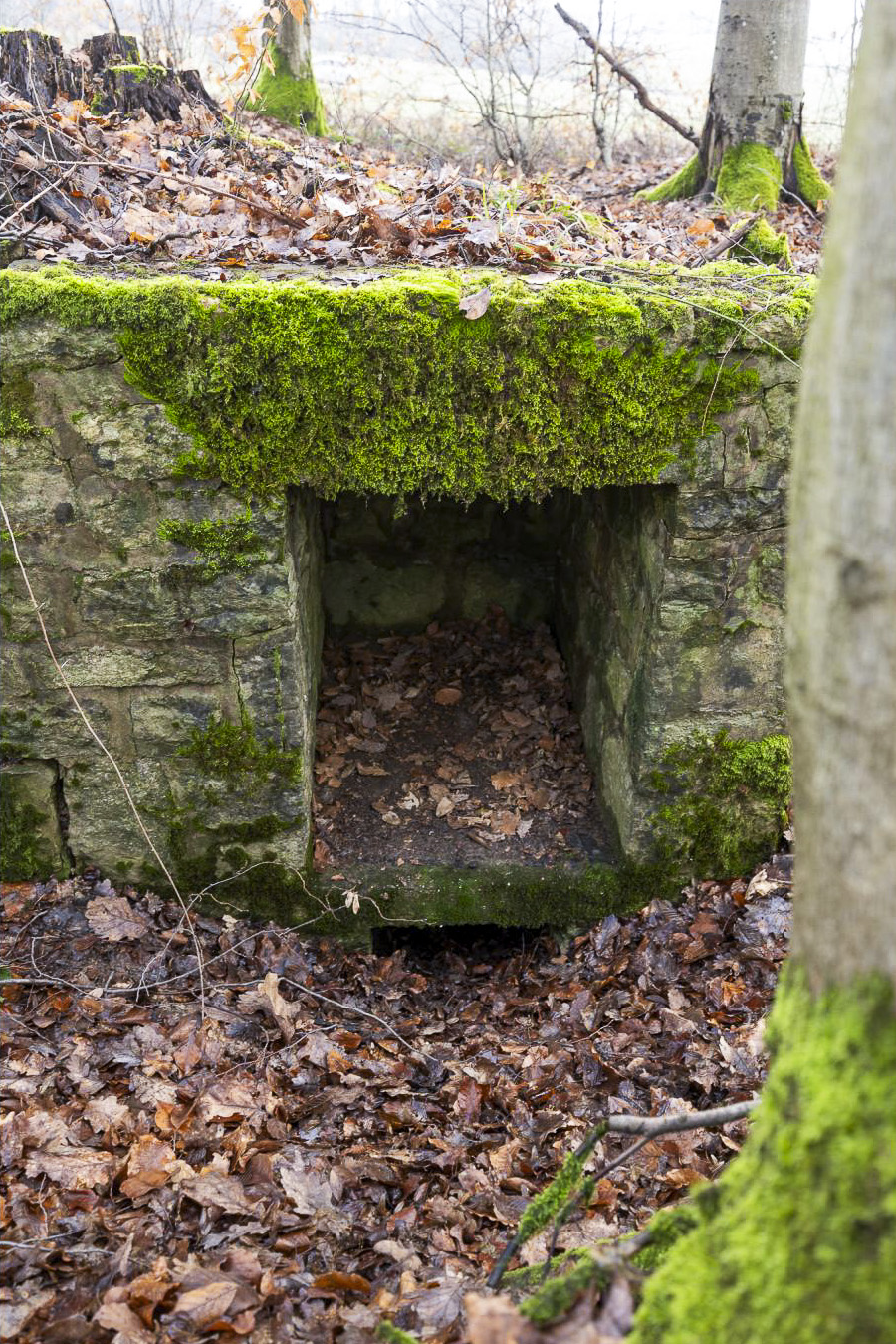 Ligne Maginot - BANNWALD 1 - (Cuve pour arme d'infanterie) - Niche pour munitions.