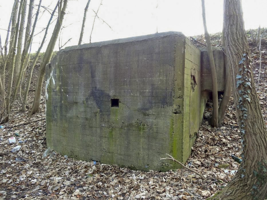 Ligne Maginot - 295A - PORT DU RHIN SUD 28 - (Blockhaus pour arme infanterie) - Créneau de défense rapprochée Nord