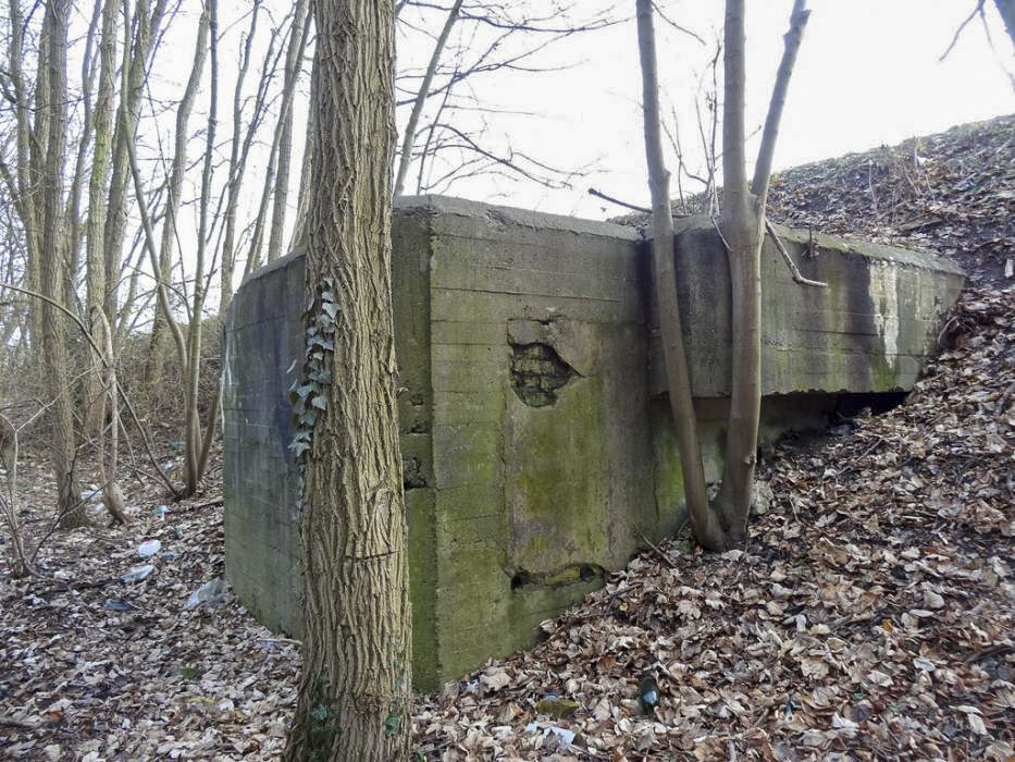 Ligne Maginot - 295A - PORT DU RHIN SUD 28 - (Blockhaus pour arme infanterie) - L'entrée murée et la visière du créneau Ouest