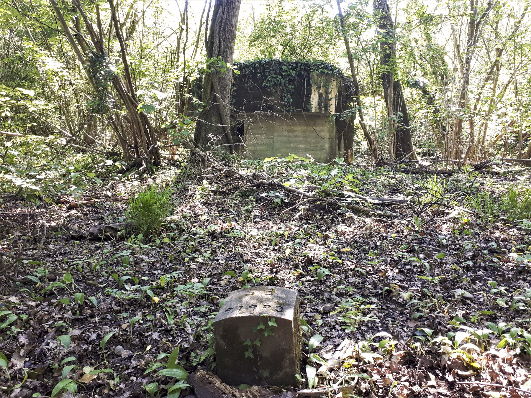 Ligne Maginot - 301A - PORT DU RHIN SUD 35 - (Blockhaus pour arme infanterie) - Borne 'câbles ES' devant le blockhaus