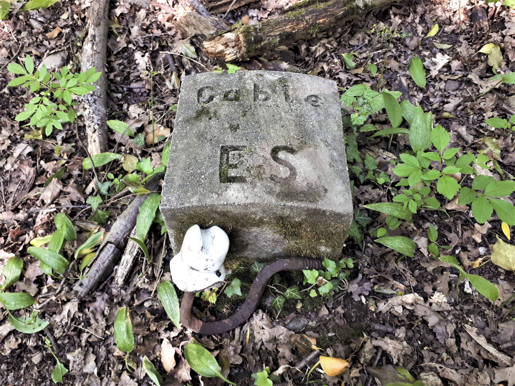 Ligne Maginot - 301A - PORT DU RHIN SUD 35 - (Blockhaus pour arme infanterie) - Vestiges de le voie ferrée qui bordait le blockhaus
Borne 'câble ES' et isolateur de ligne aérienne