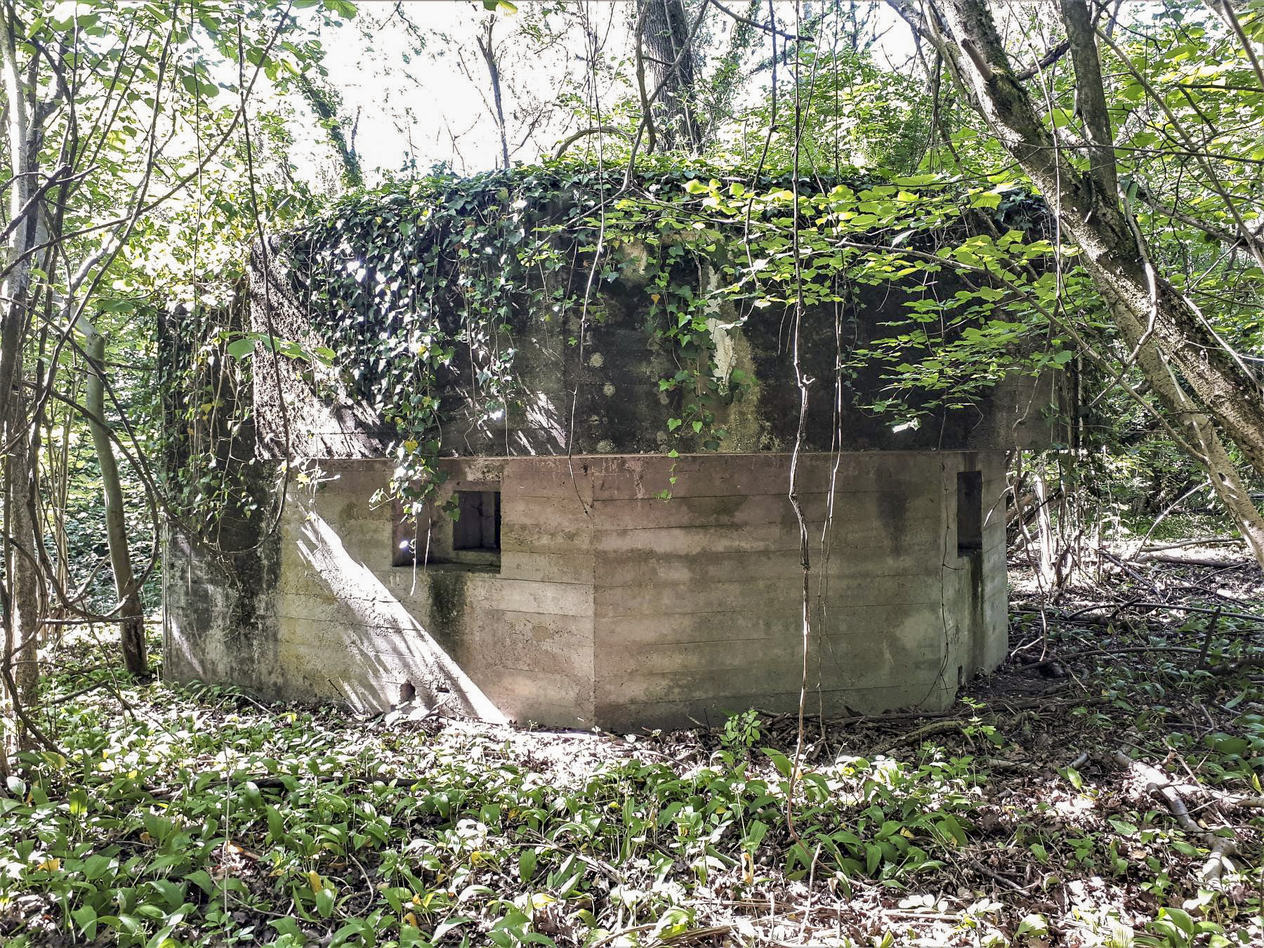 Ligne Maginot - 301A - PORT DU RHIN SUD 35 - (Blockhaus pour arme infanterie) - Les deux créneaux