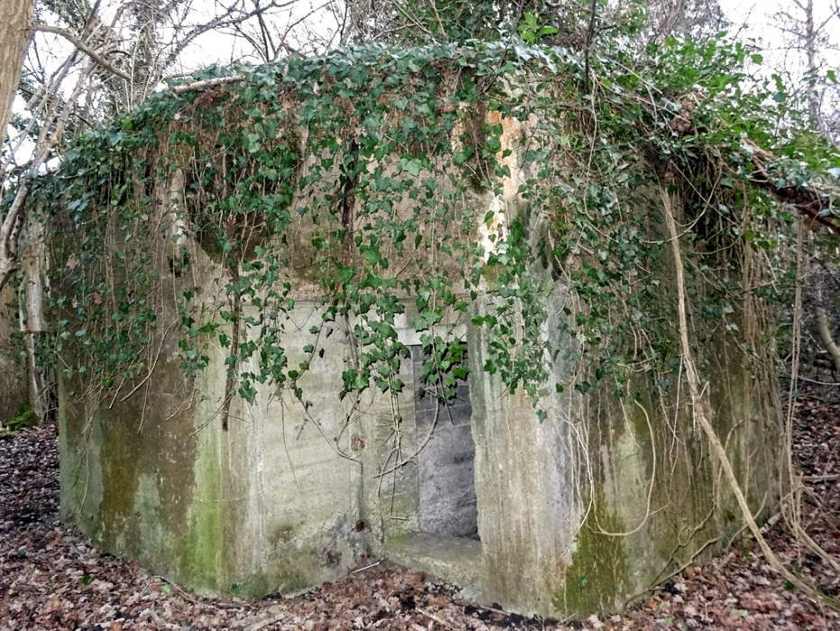 Ligne Maginot - 301A - PORT DU RHIN SUD 35 - (Blockhaus pour arme infanterie) - L'entrée