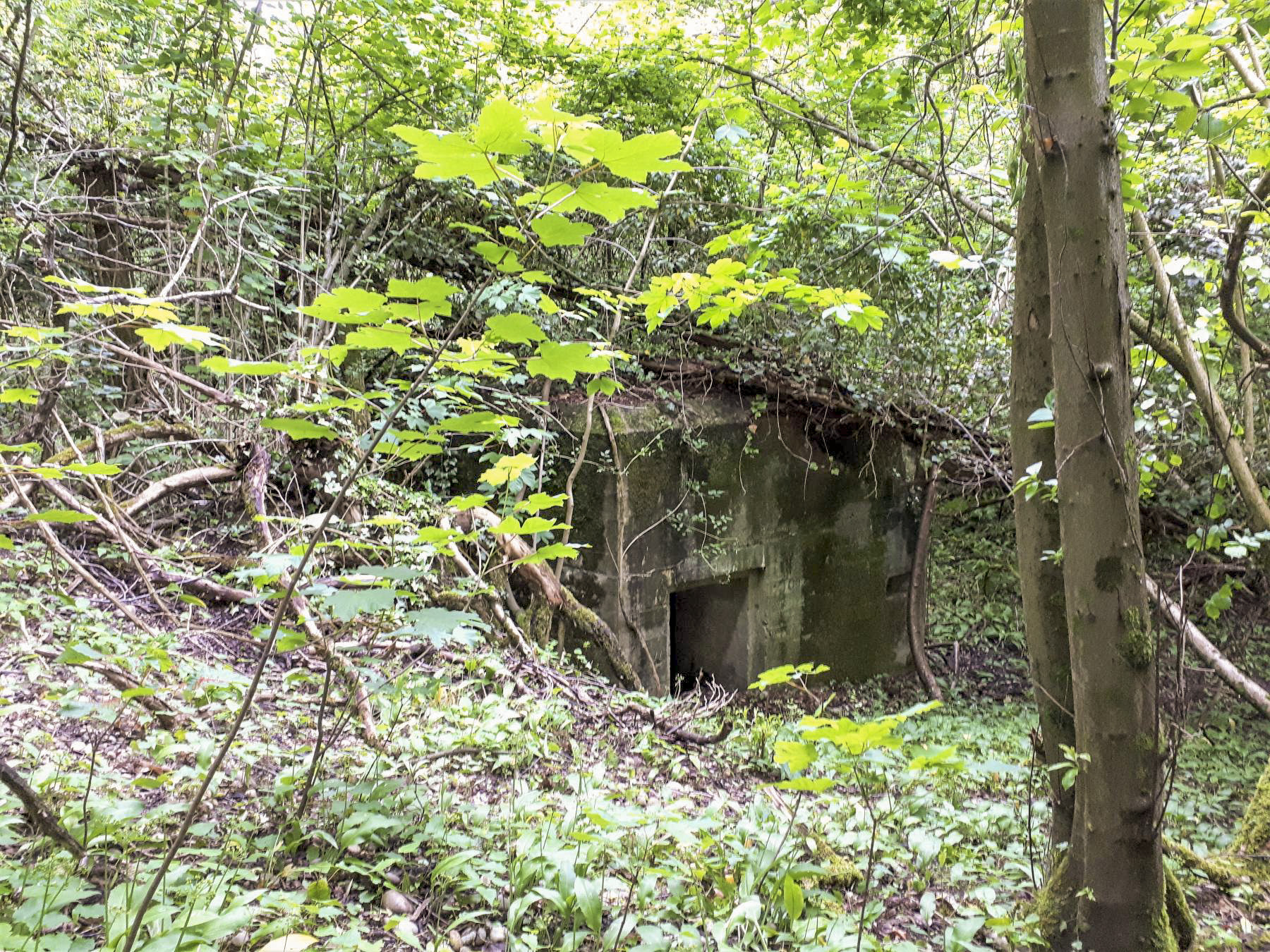 Ligne Maginot - 301B - PORT DU RHIN SUD 34 - (Blockhaus pour arme infanterie) - Le blockhaus au pied du talus de la voie ferrée