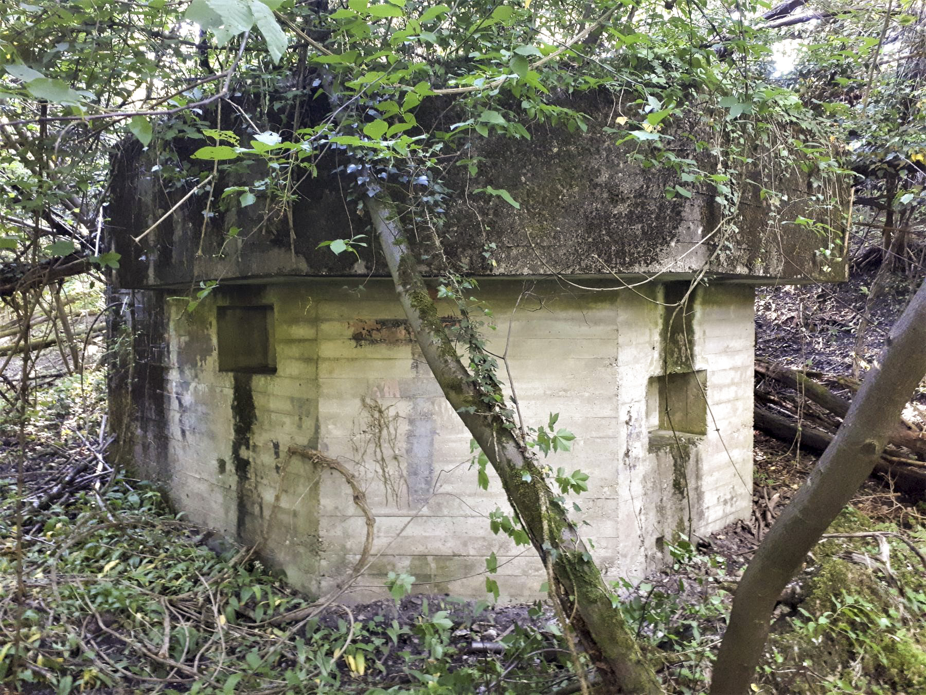 Ligne Maginot - 301B - PORT DU RHIN SUD 34 - (Blockhaus pour arme infanterie) - Vue montrant le décalage en hauteur des créneaux