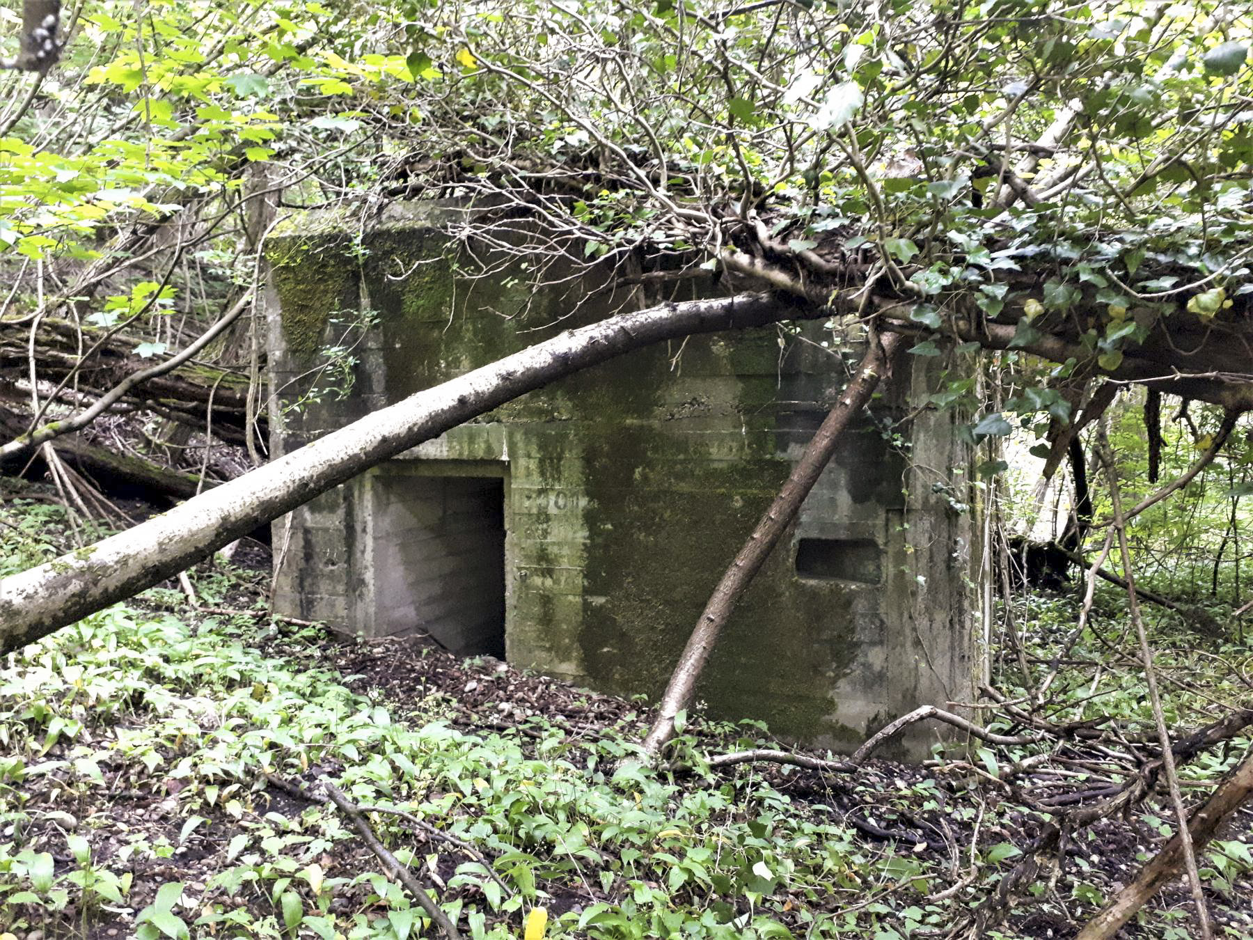 Ligne Maginot - 301B - PORT DU RHIN SUD 34 - (Blockhaus pour arme infanterie) - Entrée et créneau de défense rapprochée