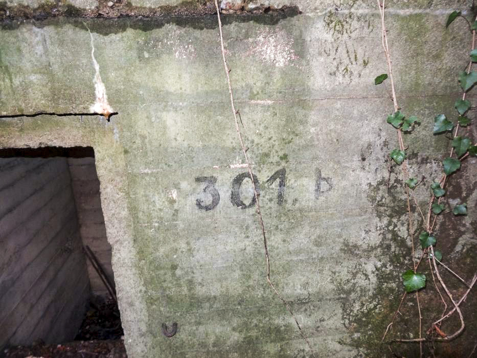 Ligne Maginot - 301B - PORT DU RHIN SUD 34 - (Blockhaus pour arme infanterie) - N° d'inventaire 301 b