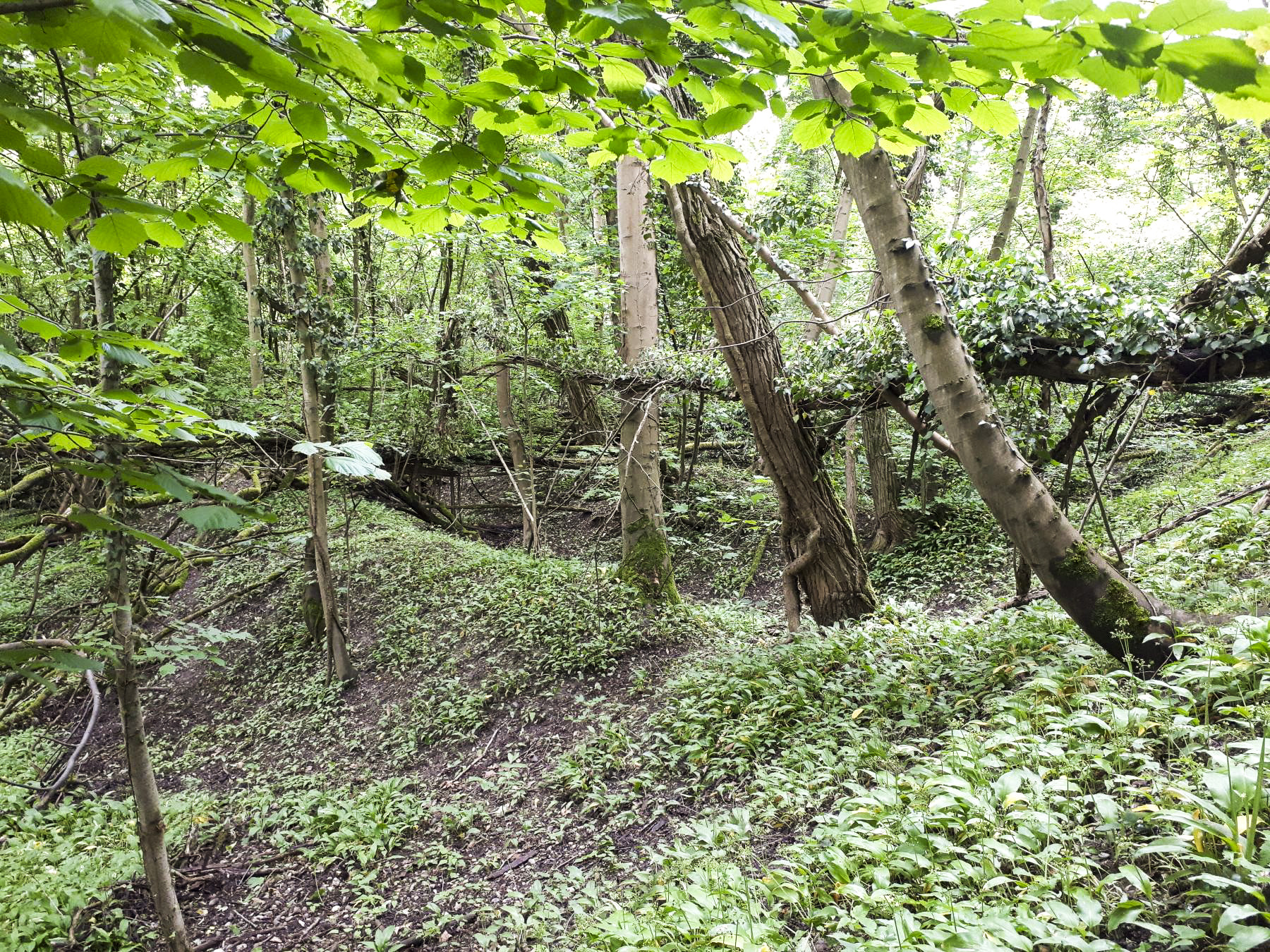 Ligne Maginot - 301B - PORT DU RHIN SUD 34 - (Blockhaus pour arme infanterie) - Les travées de l'ancien stand de tir de la Klebsau sont encore visibles à proximité du blockhaus