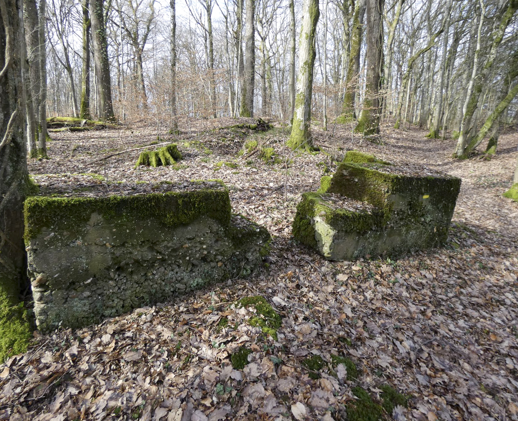 Ligne Maginot - PFAFFENKLAUSERBUSCH 2 - (Blockhaus pour arme infanterie) - Un bouclier pour une arme d'infanterie.