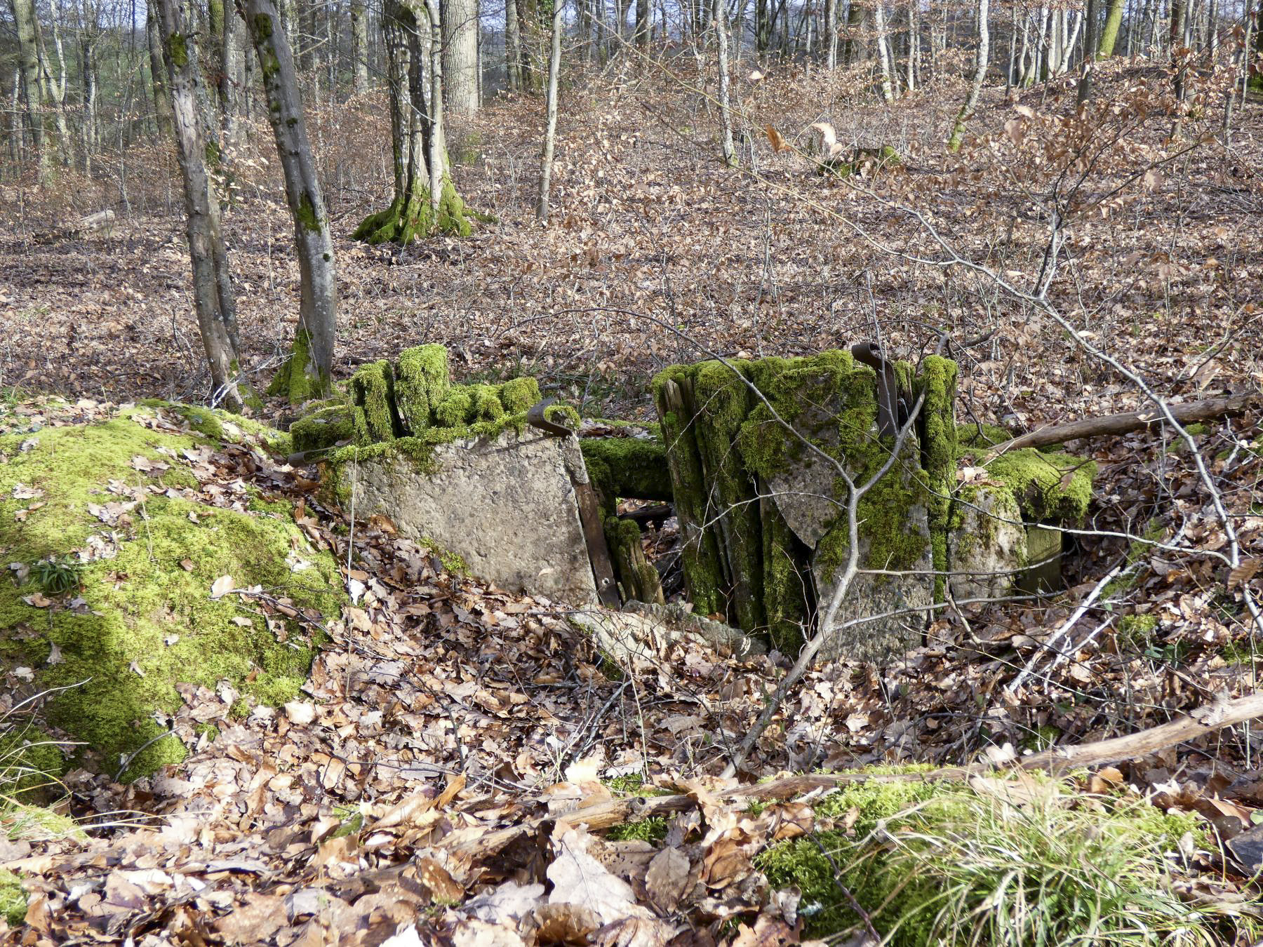 Ligne Maginot - PFAFFENKLAUSERBUSCH - (Abri) - Les restes d'un abri.