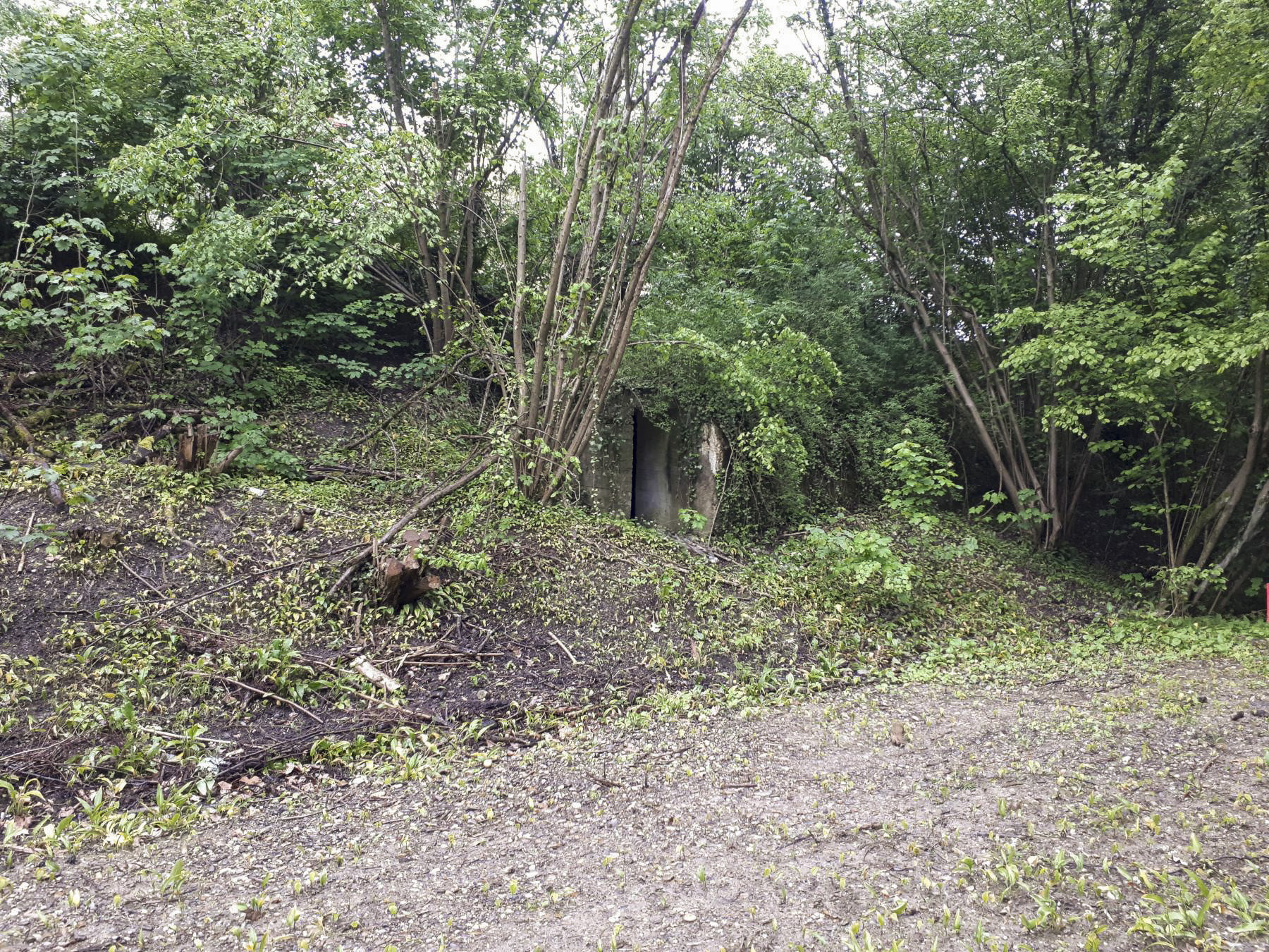 Ligne Maginot - 308E - PORT DU RHIN SUD 32 - (Abri) - L'abri contre le talus de la rue de la Rochelle