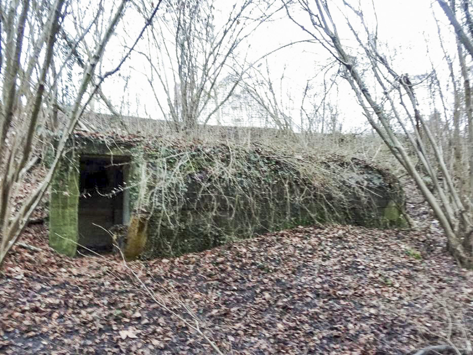 Ligne Maginot - Bloc Port du Rhin Sud 32 - Vue générale