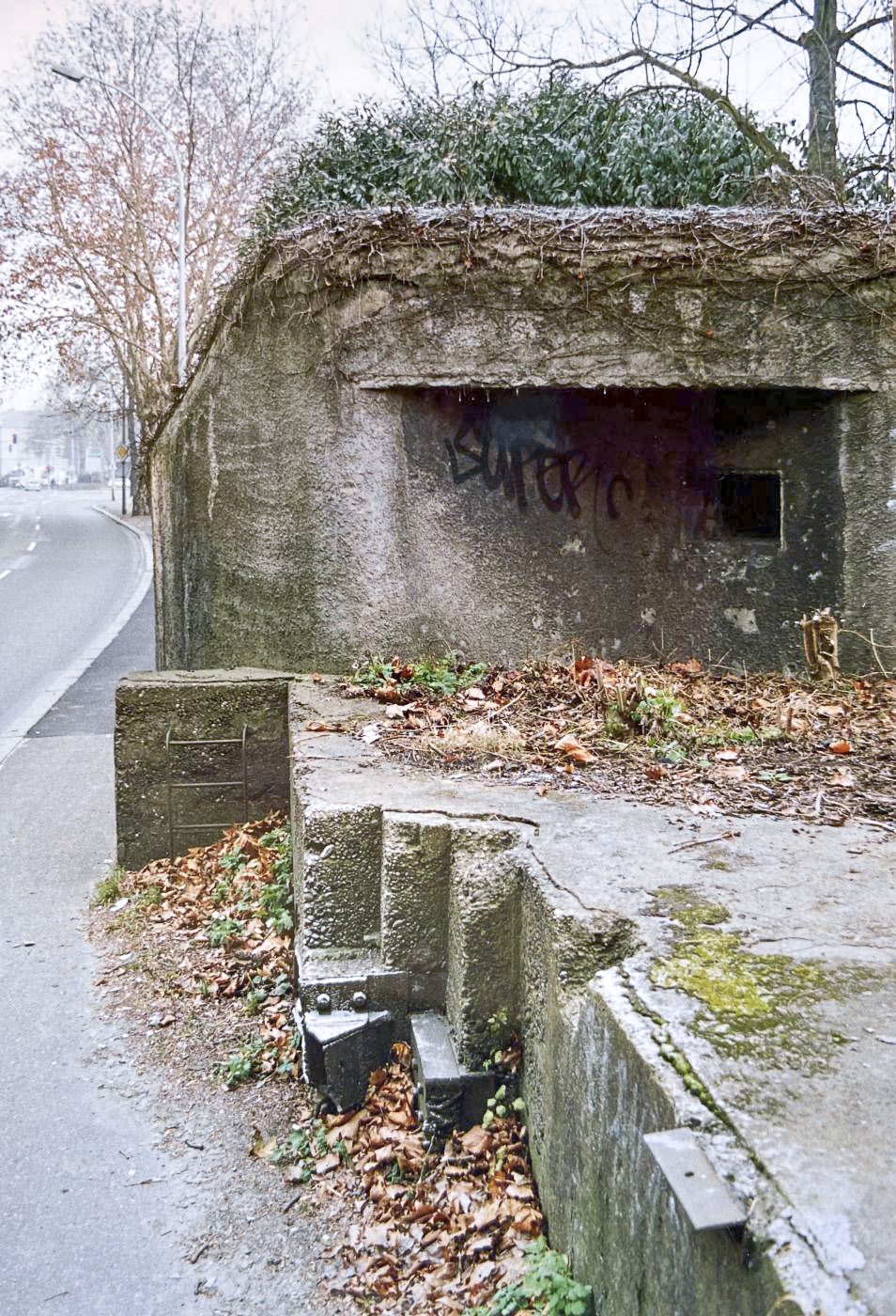 Ligne Maginot - ROUTE DU RHIN  - (Barrage de Route) - Vue des ancrages coté sud avec le blockhaus de couverture