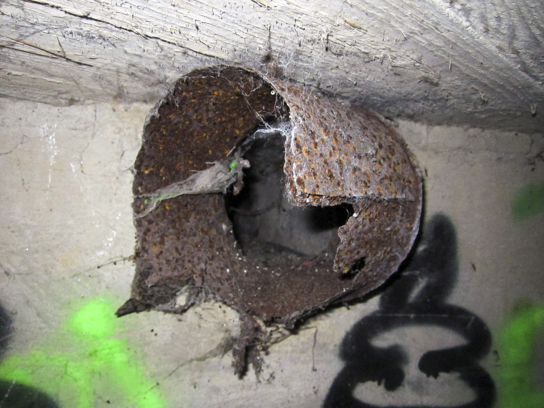 Ligne Maginot - HAUTE DIGUE 2 - (Blockhaus pour arme infanterie) - Chambre de tir
Conduit de ventilation au-dessus du créneau mitrailleuse gauche