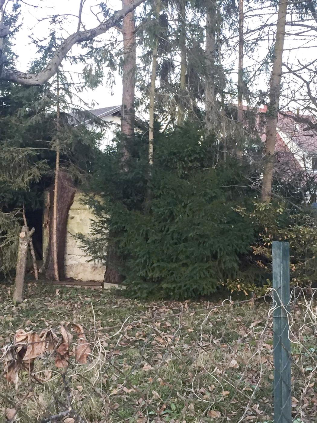 Ligne Maginot - LA COLONNE 2 - (Blockhaus pour arme infanterie) - Blockhaus au fond du jardin dans une propriété privée. À chaque coin du blockhaus un sapin à été planté, il bien caché. Seul un côté est bien visible avec les traces horizontales du coffrage encore imprimé dans le béton.