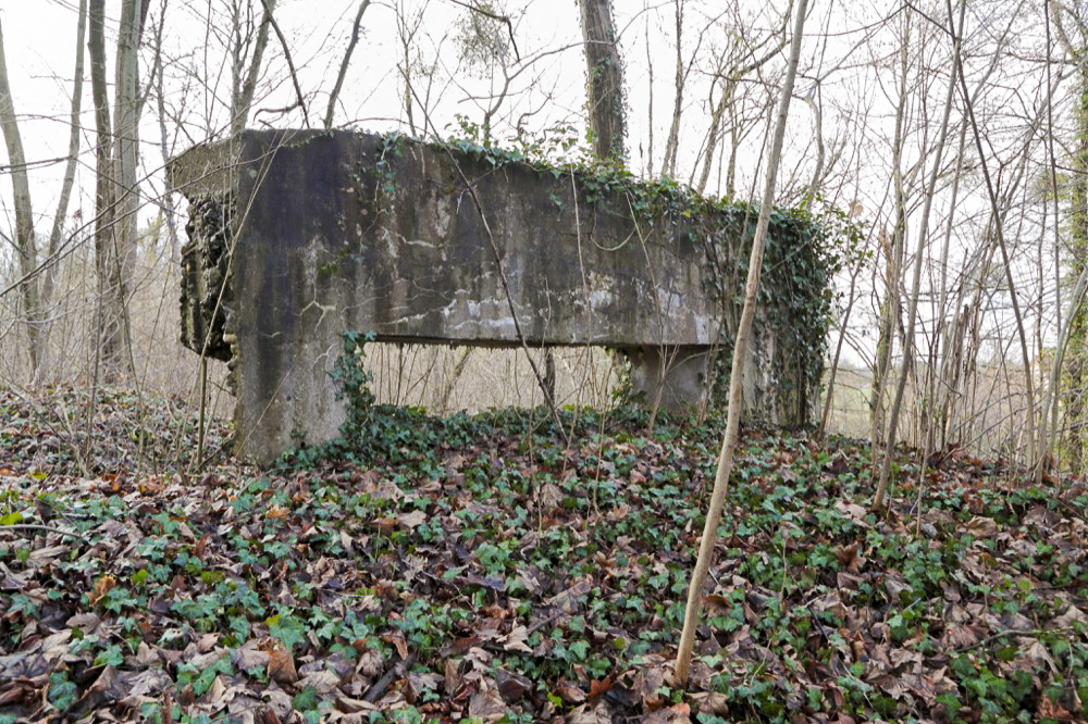 Ligne Maginot - NEUF-EMPERT 1 - Face frontale du bouclier