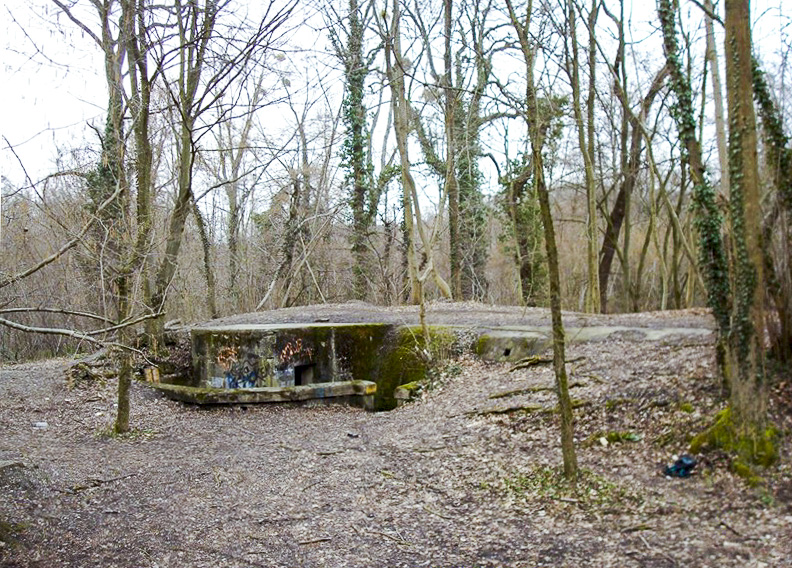 Ligne Maginot - OBERJAEGERHOFF - (Abri) - Vue sur l'entrée gauche