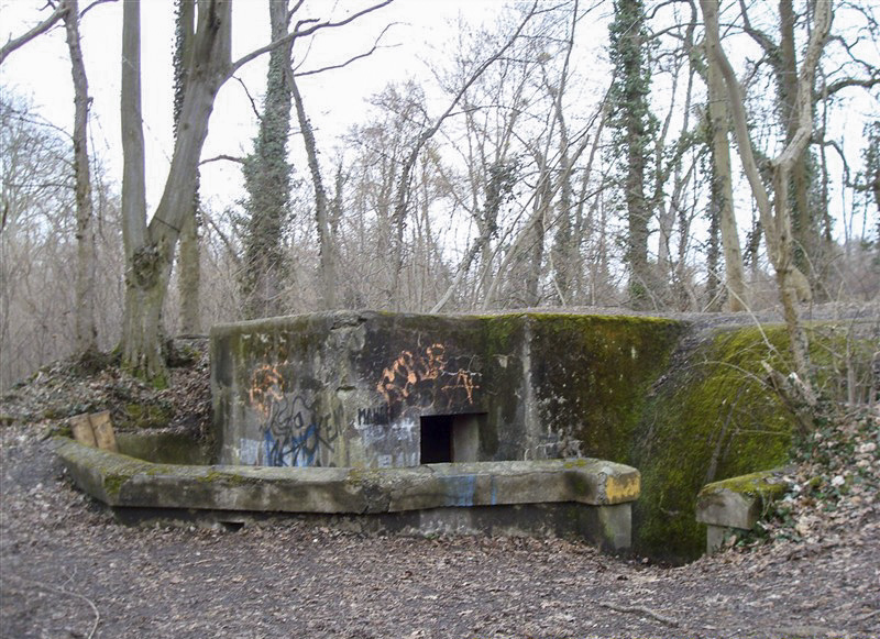 Ligne Maginot - OBERJAEGERHOFF - (Abri) - L'entrée gauche