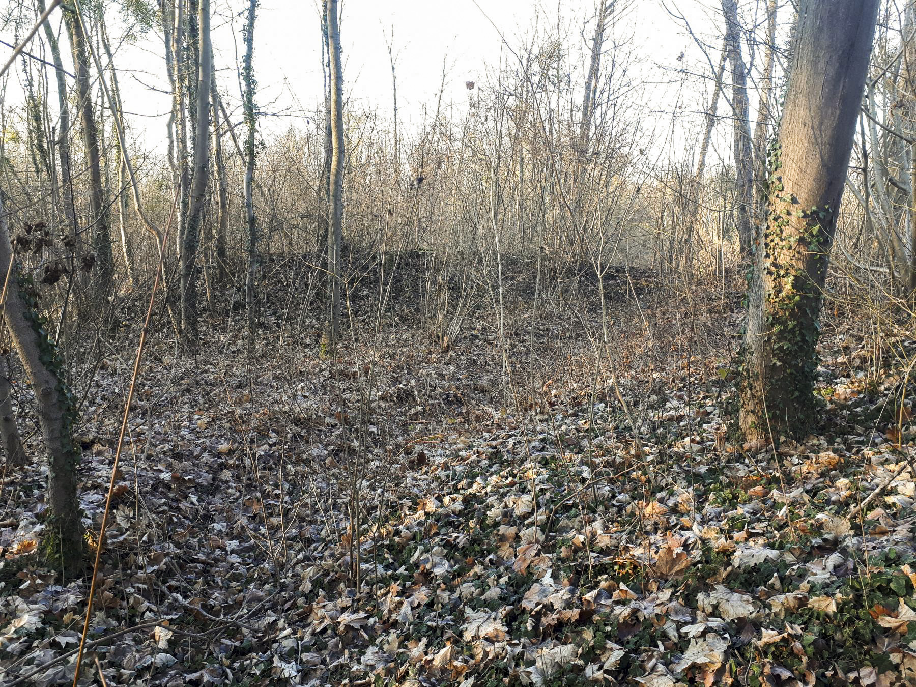 Ligne Maginot - OUVRAGE NEUF-EMPERT - (Ouvrage d'infanterie) - Parapet du flanc gauche (tranchée française)