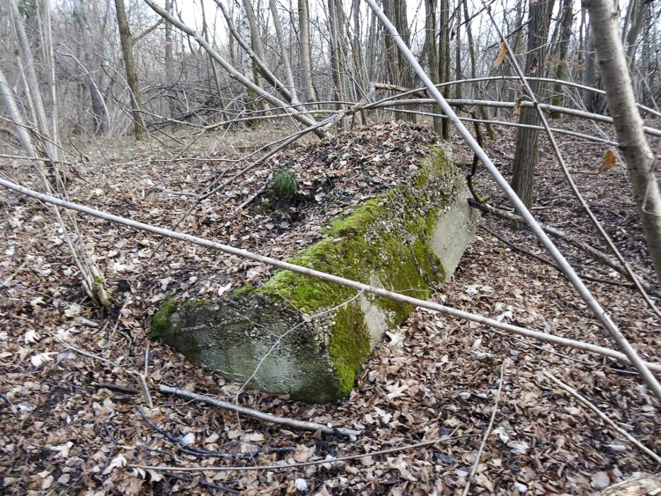 Ligne Maginot - PORT DU RHIN SUD 10 - (Blockhaus pour arme infanterie) - Vestige du blockhaus