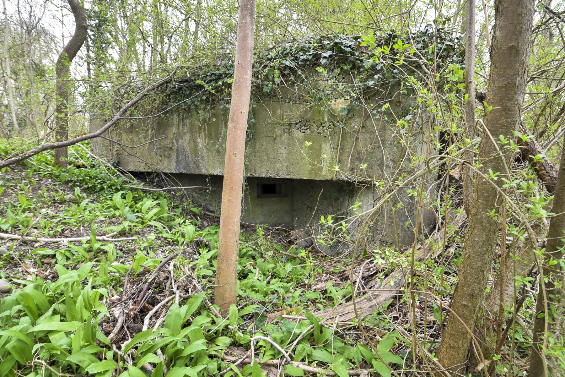 Ligne Maginot - RHIN TORTU 3 - (Blockhaus pour arme infanterie) - 