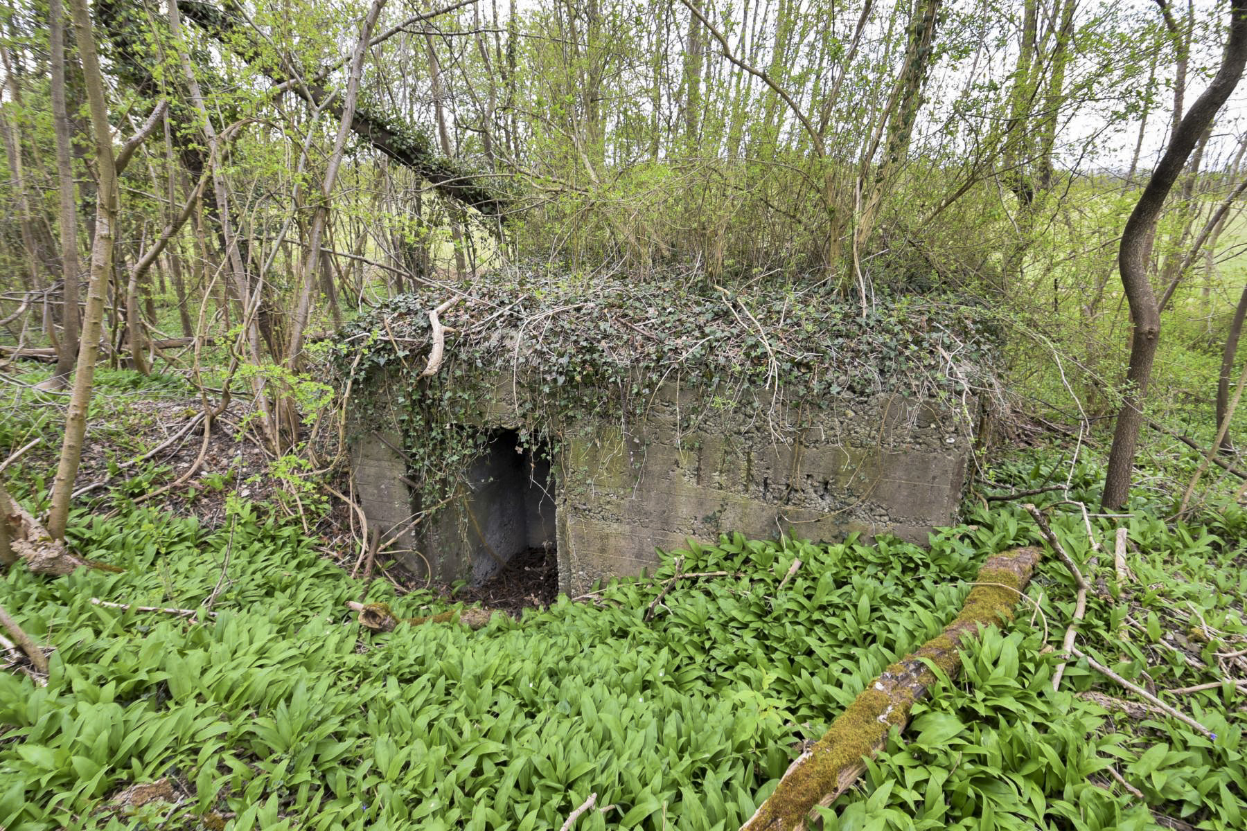 Ligne Maginot - RHIN TORTU 3 - (Blockhaus pour arme infanterie) - 