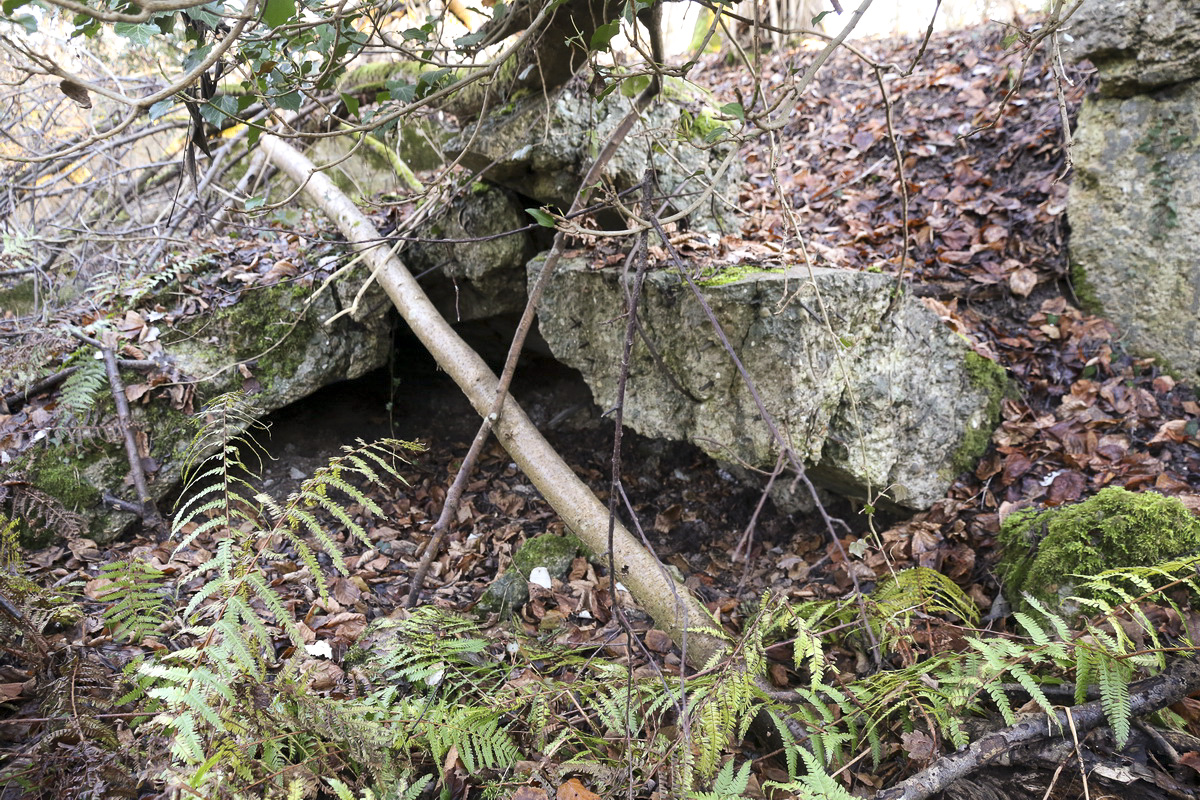 Ligne Maginot - RHIN TORTU 4 - (Abri) - Les ruines de l'abri