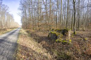 Ligne Maginot - ROUTE DU GENDERSBERG - (Blockhaus pour arme infanterie) - Protection de la route forestière du Gendersberg.