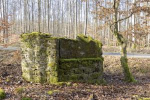 Ligne Maginot - ROUTE DU GENDERSBERG - (Blockhaus pour arme infanterie) - 