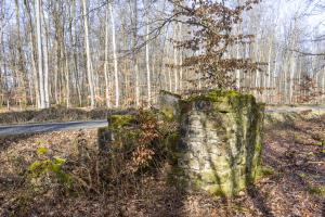 Ligne Maginot - ROUTE DU GENDERSBERG - (Blockhaus pour arme infanterie) - Vue arrière.