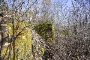 Ligne Maginot - GENDERSBERG (GRM) - (Casernement) - Caché par une végétation très dense. 