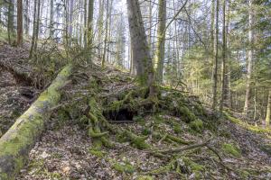 Ligne Maginot - ERBSENBERG - (Divers) - Vue d'ensemble.