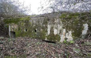 Ligne Maginot - SALWIESE 6 - (Abri) - Façade d'entrée. 