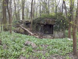 Ligne Maginot - WALDSBURGER SUD - (Blockhaus pour arme infanterie) - 