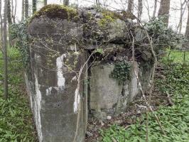 Ligne Maginot - WALDSBURGER SUD - (Blockhaus pour arme infanterie) - 