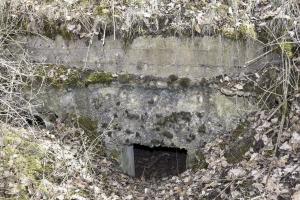 Ligne Maginot - BOIS DE DESSENHEIM SUD 9 - (Poste de Secours) - Abri 'C' - L’entrée ouest