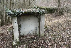 Ligne Maginot - BORNE DE L'OBERWALD - (Chambre de coupure) - La chambre de coupure et l'abri à proximité