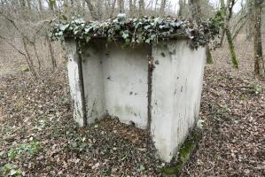 Ligne Maginot - BORNE DE L'OBERWALD - (Chambre de coupure) - 