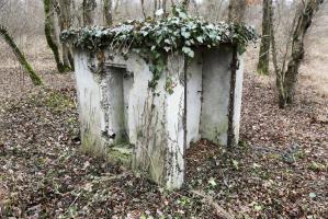 Ligne Maginot - BORNE DE L'OBERWALD - (Chambre de coupure) - 