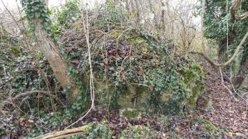 Ligne Maginot - NAMBSHEIM EST 1 - (Blockhaus de type indéterminé) - 