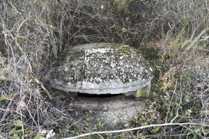 Ligne Maginot - OBERWALD SUD OUEST 2 - (Blockhaus pour arme infanterie) - Coupole