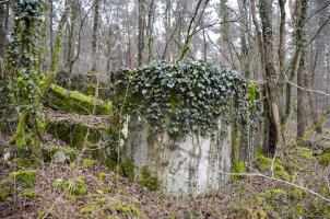 Ligne Maginot - CARREFOUR 218 EST - (Blockhaus pour canon) - Façade Ouest et Nord