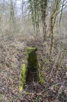 Ligne Maginot - RADBRUNNEN 1 - (Blockhaus pour arme infanterie) - Un dizaine de marches mènent au couloir. On aperçoit le blason au fond