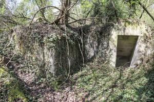 Ligne Maginot - OBERKOEPFLEIN 2 - (Abri) - L'abri allemand a été retourné. Les entrées face au Rhin sont donc renforcées. Entrée sud