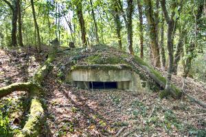 Ligne Maginot - PA KEMBS CENTRE 3 - (Blockhaus pour arme infanterie) - Vue extérieur de la coupole.