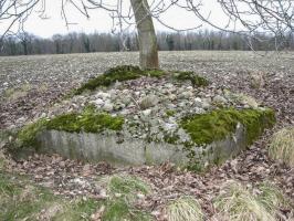 Ligne Maginot - PA PETIT-LANDAU 2 - (Blockhaus pour arme infanterie) - La coupole est explosée et les gravats ont servi à boucher le trou.