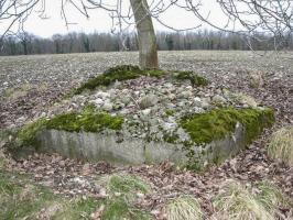 Ligne Maginot - PA PETIT-LANDAU 2 - (Blockhaus pour arme infanterie) - La coupole est explosée et les gravats ont servi à boucher le trou.