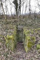 Ligne Maginot - PA PETIT-LANDAU 5 - (Blockhaus pour arme infanterie) - Entrée, avec au fond, la vue sur la plaine en direction de Pt-Landau