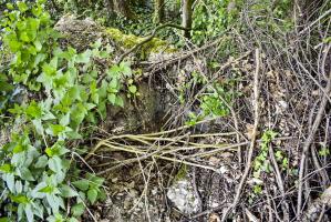 Ligne Maginot - Blockhaus de PETIT-LANDAU 7a - 