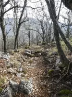 Ligne Maginot - COL DE SEGRA SUD-EST 2 - (Blockhaus pour arme infanterie) - Environnement